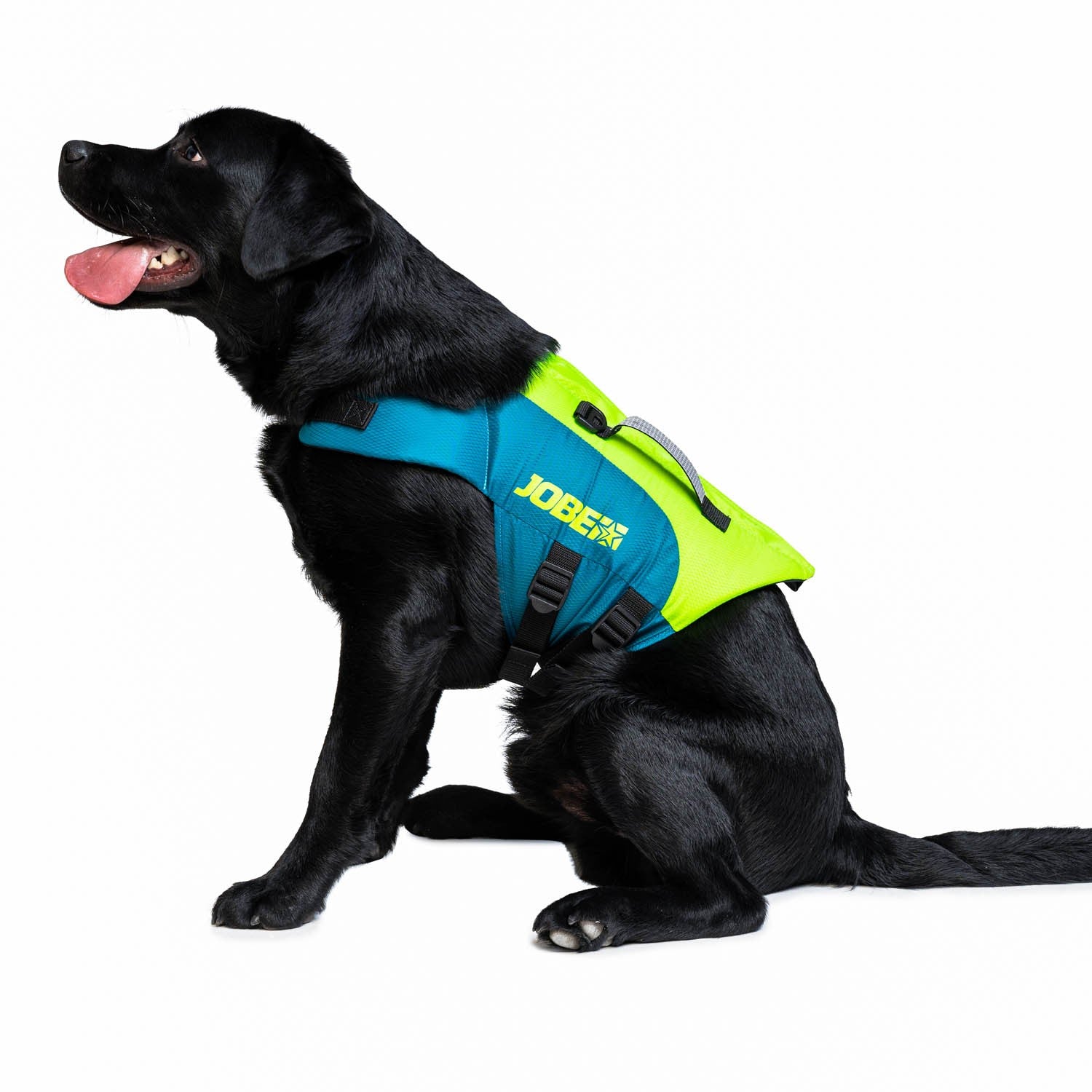 JOBE PET VEST