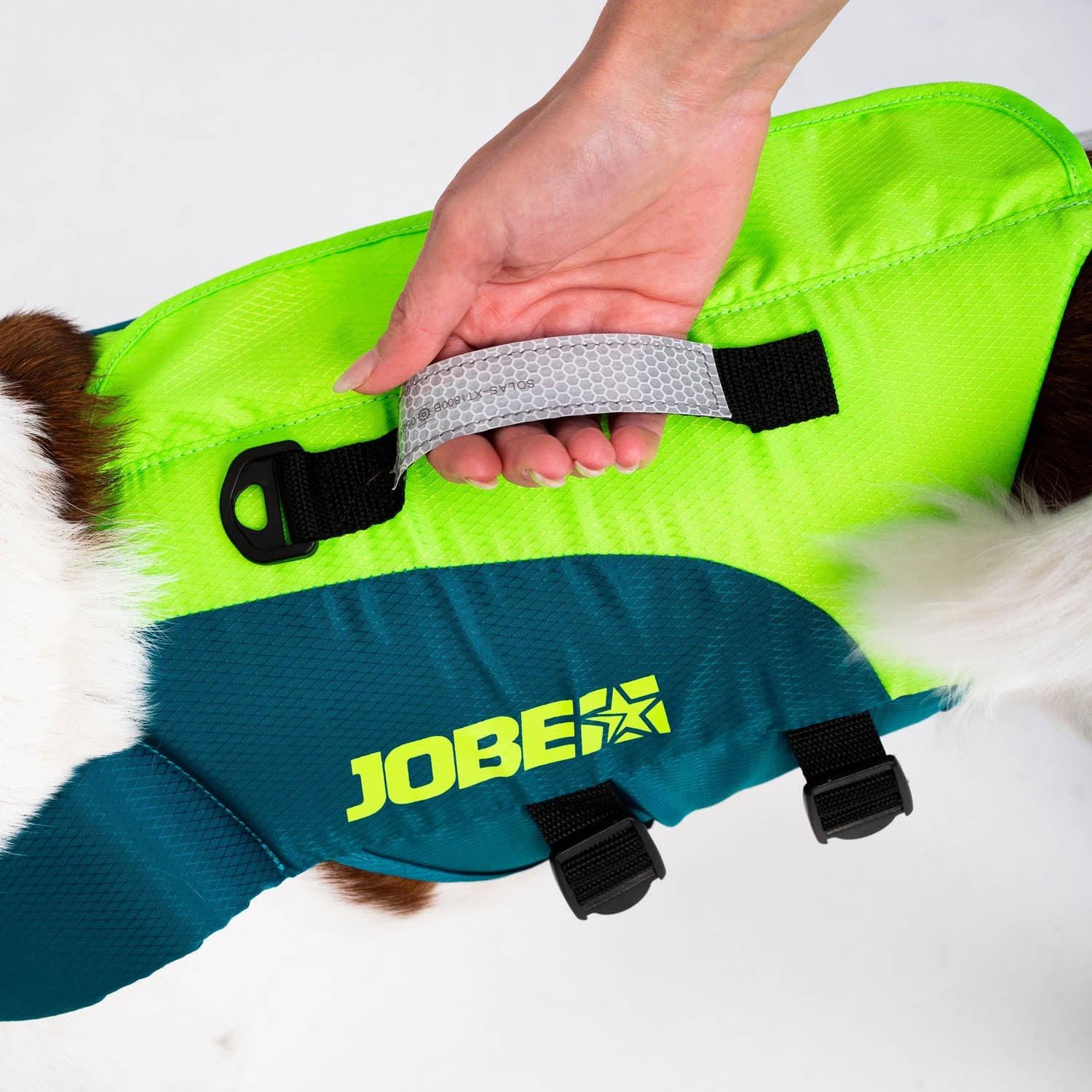 JOBE PET VEST