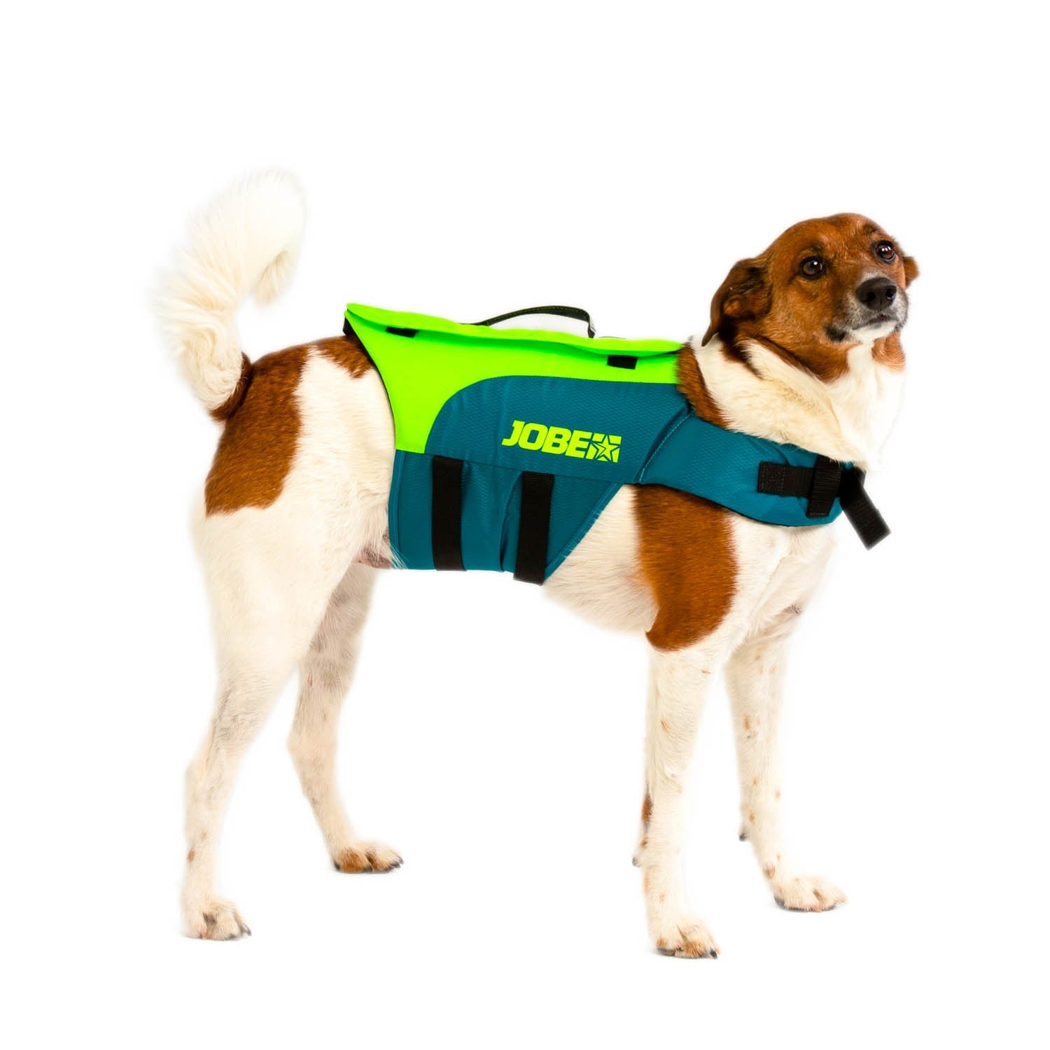 JOBE PET VEST