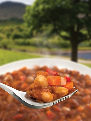 WAYFAYRER MOROCCAN BEAN STEW 300G