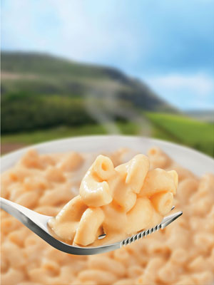 WAYFAYRER MAC & CHEESE 300G