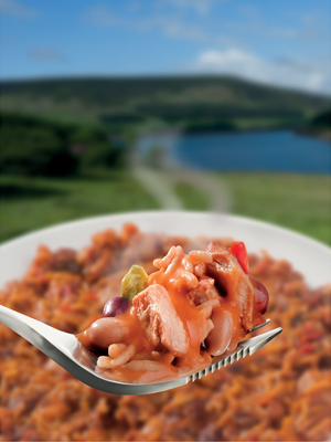 WAYFAYRER PERI-PERI CHICKEN 300G