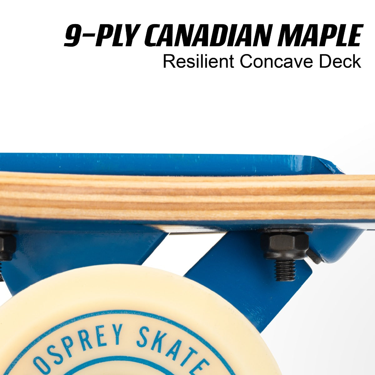 OSPREY 39" LONGBOARD SKATEBOARD TWIN TIP - SLIDE FADE