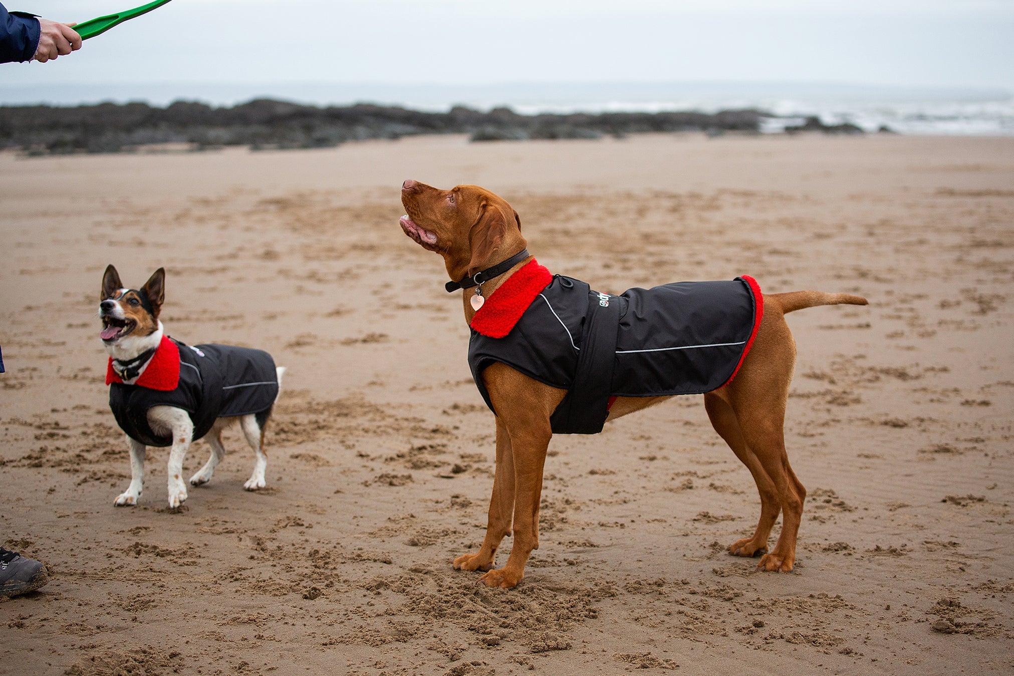 Dryrobe® dog - WATERPROOF DOG COAT - BLACK/RED