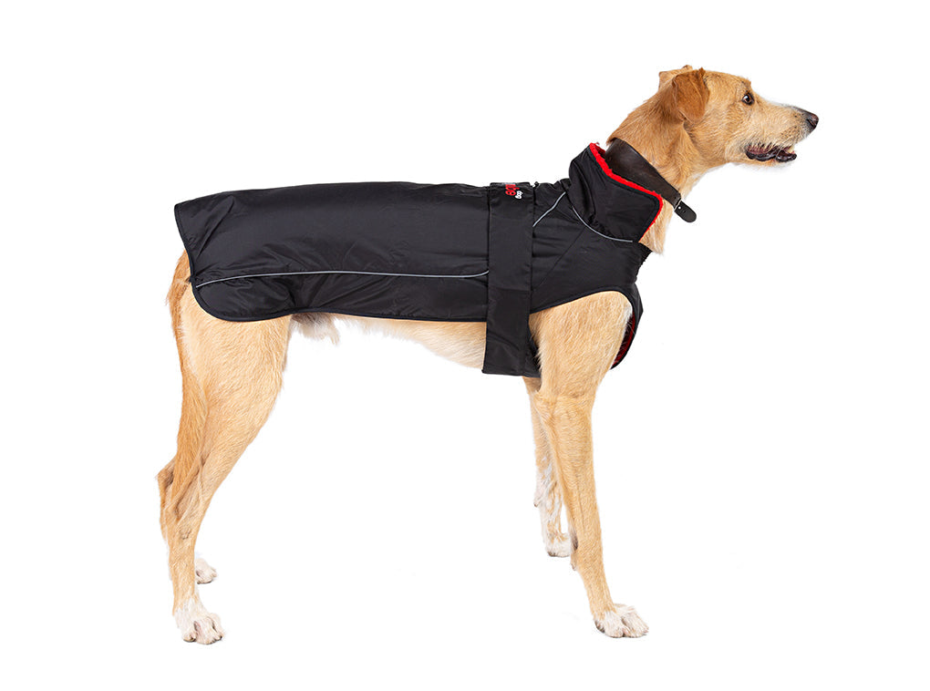 Dryrobe® dog - WATERPROOF DOG COAT - BLACK/RED