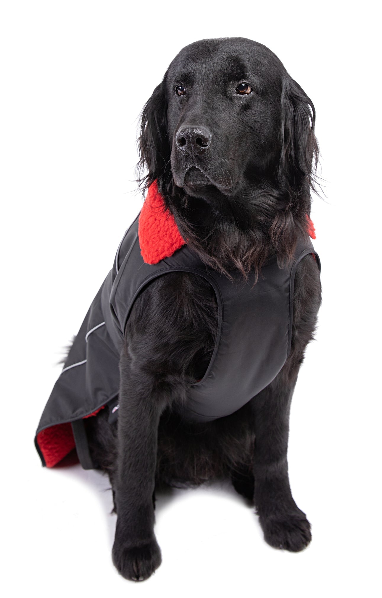 Dryrobe® dog - WATERPROOF DOG COAT - BLACK/RED