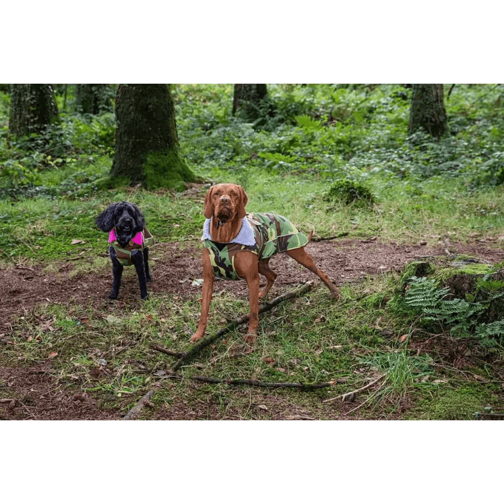 dryrobe® dog - WATERPROOF DOG COAT - CAMO/GREY - Atlantic Kayaks & Leisure