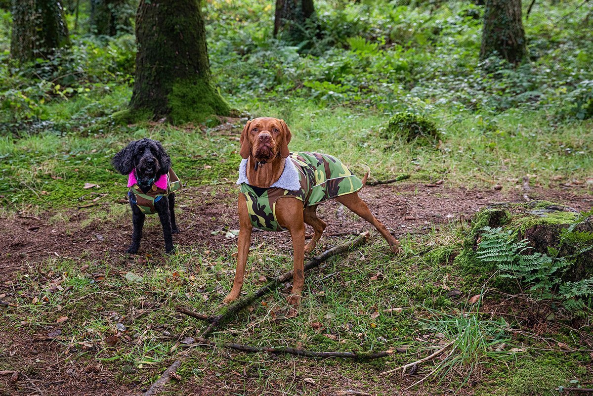 dryrobe® dog - WATERPROOF DOG COAT - CAMO/PINK