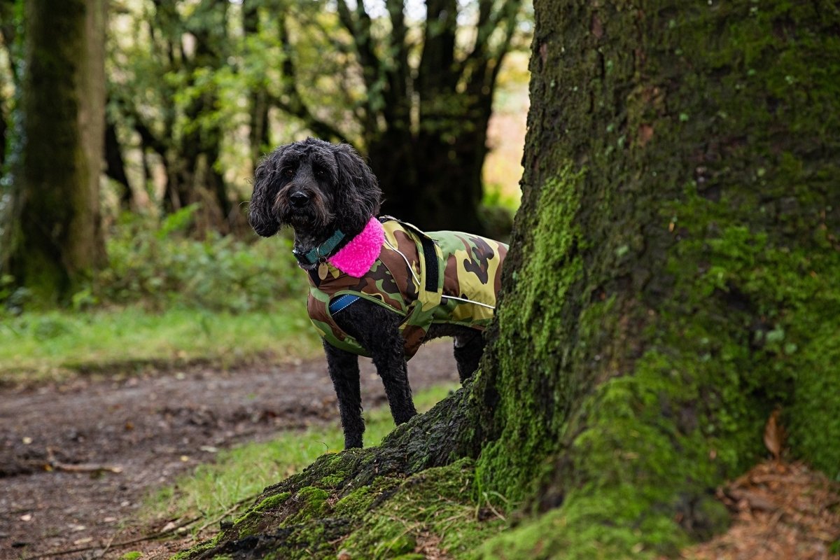 dryrobe® dog - WATERPROOF DOG COAT - CAMO/PINK