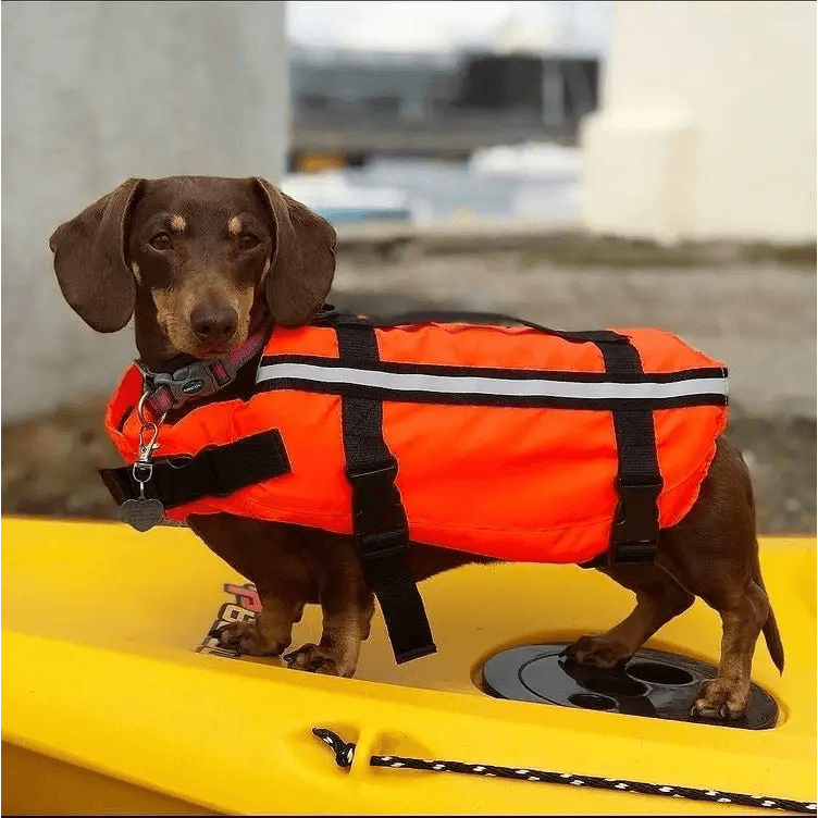 TYPHOON TOTLAND DOG VEST - Atlantic Kayaks & Leisure