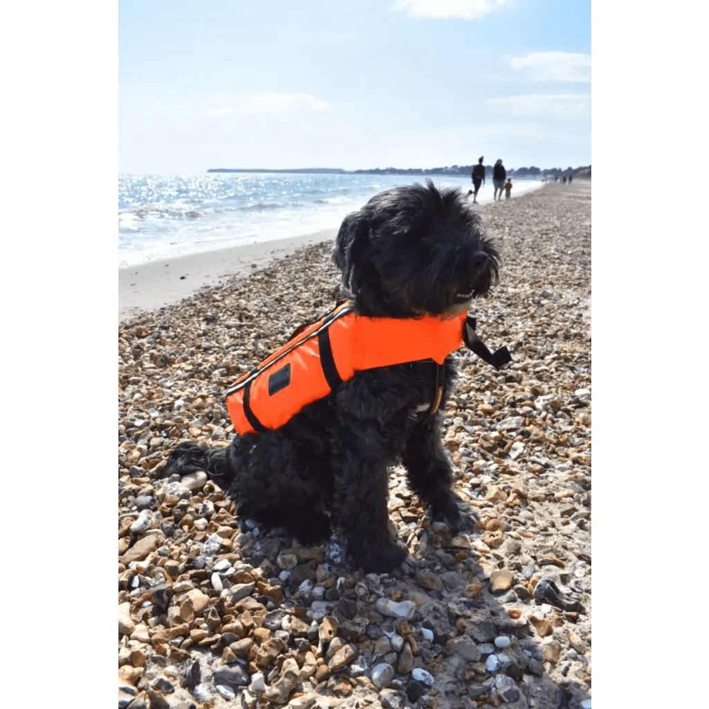 TYPHOON TOTLAND DOG VEST - Atlantic Kayaks & Leisure