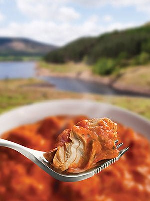 WAYFAYRER CHICKEN TIKKA & RICE 300G - Atlantic Kayaks & Leisure