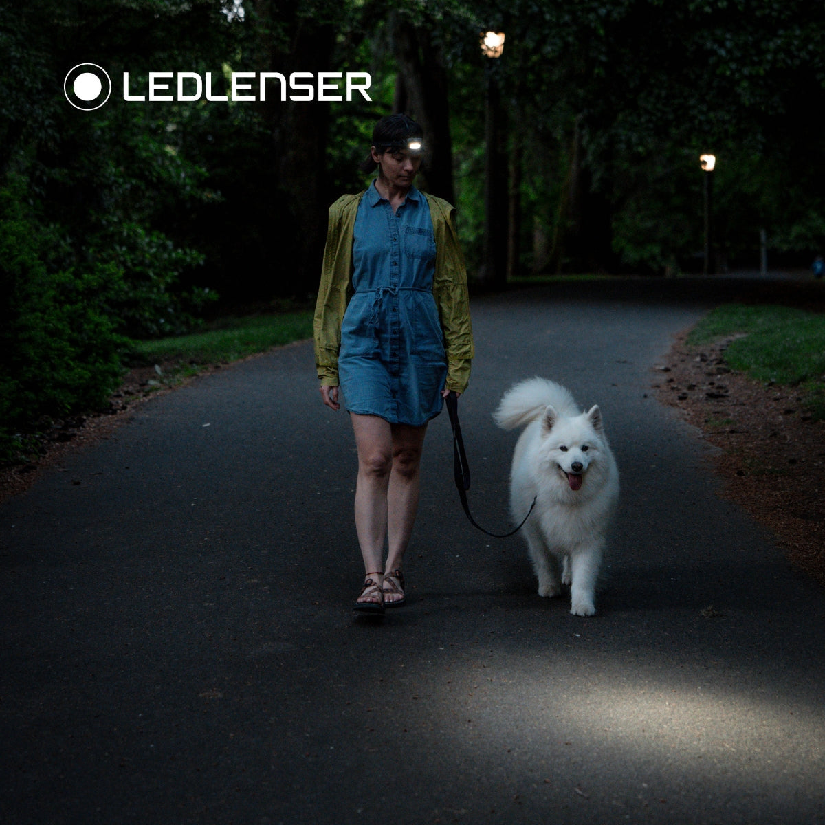 LEDLENSER HF4R CORE RECHARGEABLE HEAD TORCH - 500lm