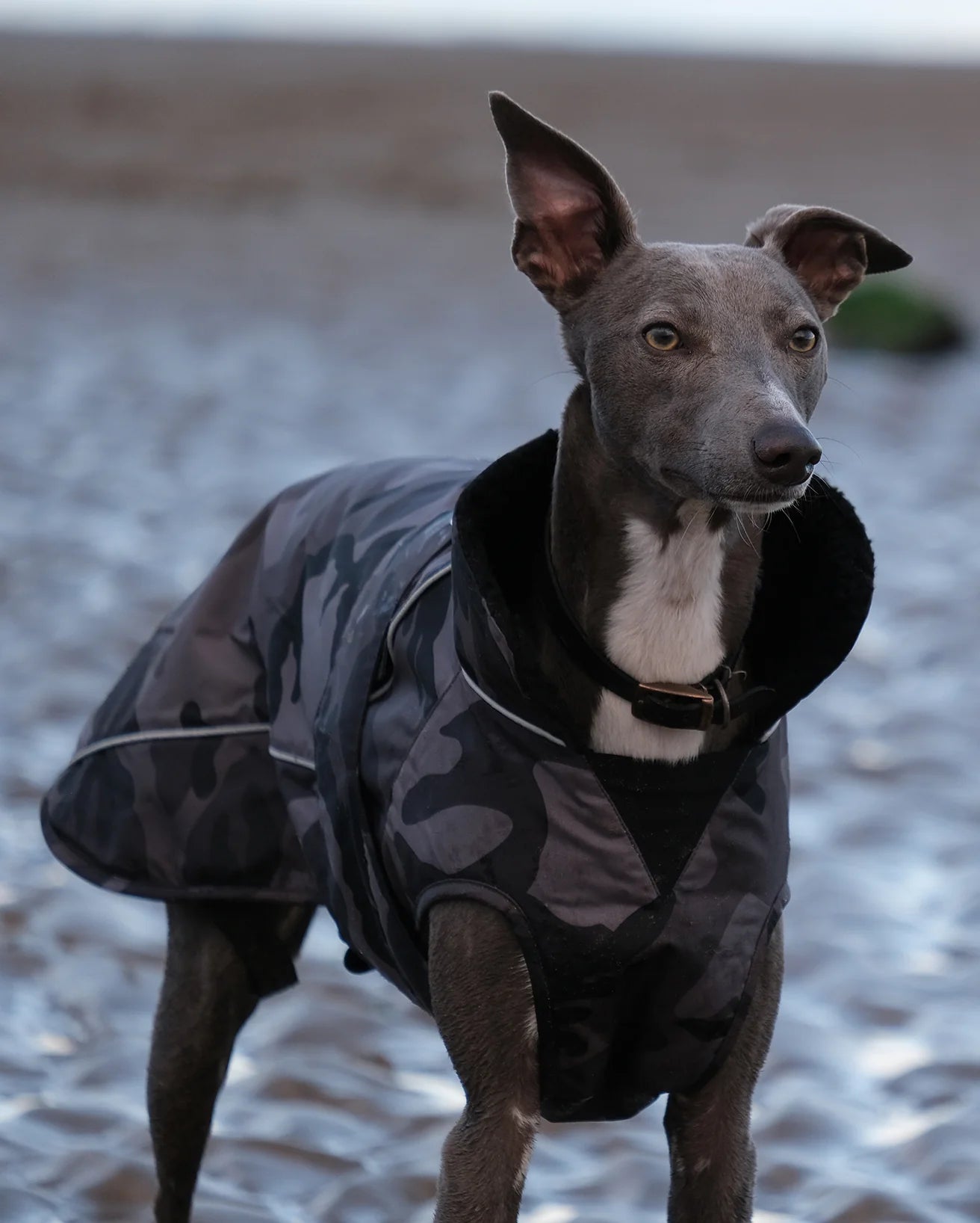 Dryrobe® dog - WATERPROOF DOG COAT - BLACK CAMO