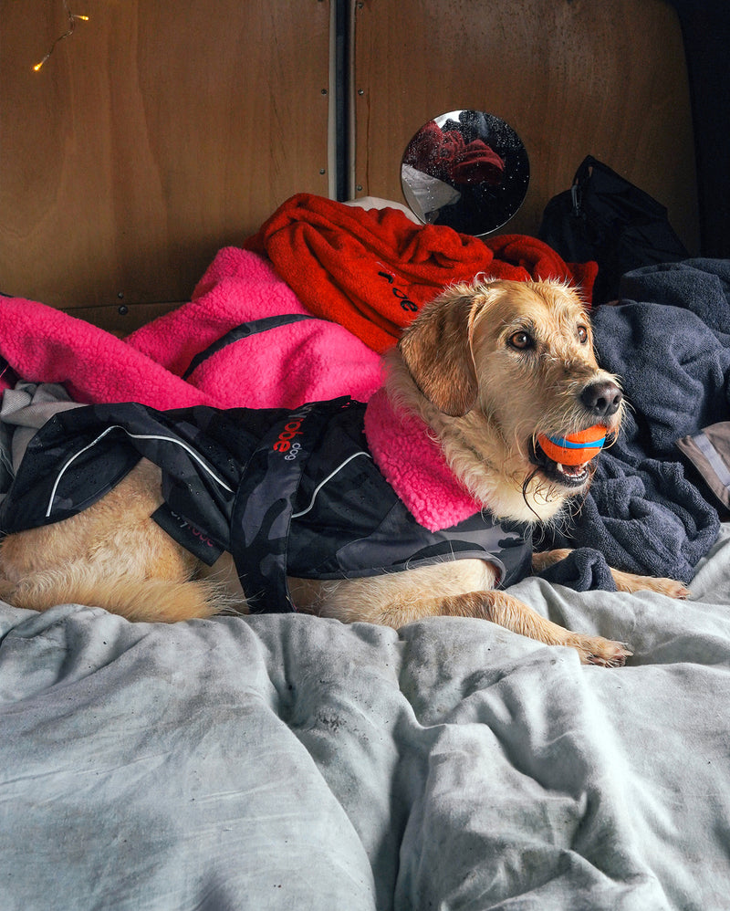 Dryrobe® dog - WATERPROOF DOG COAT - BLACK CAMO / PINK