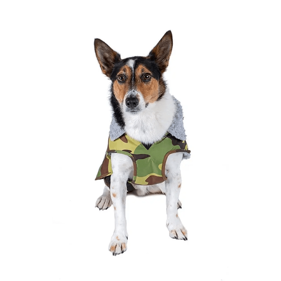 dryrobe® dog - WATERPROOF DOG COAT - CAMO/GREY - Atlantic Kayaks & Leisure