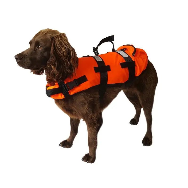 Hunting dog 2025 life jacket