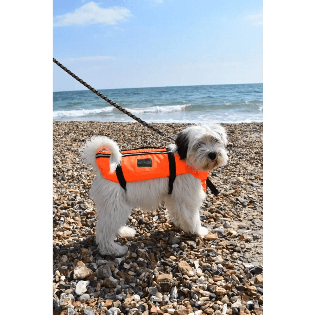 TYPHOON TOTLAND DOG VEST - Atlantic Kayaks & Leisure