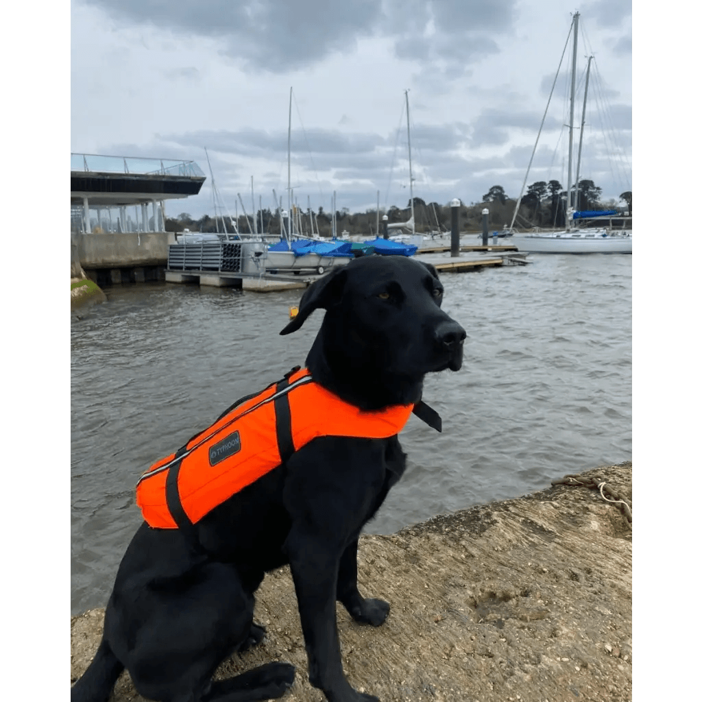 TYPHOON TOTLAND DOG VEST - Atlantic Kayaks & Leisure